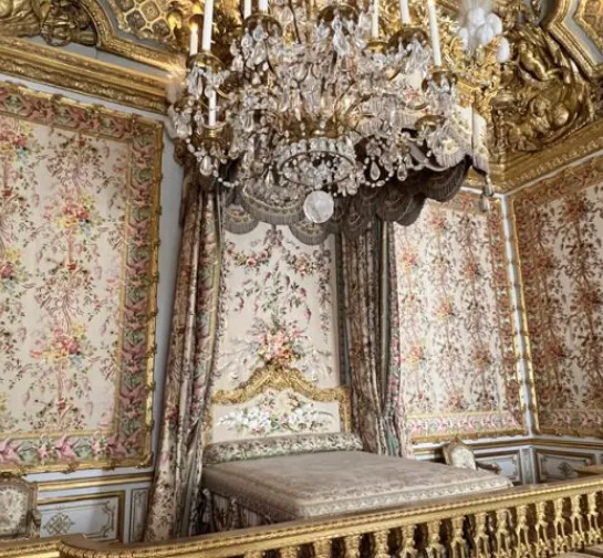 Versailles Palace half day tour from Paris