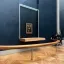 Best experience of my life! I've always wanted to visit the Louvre. I would say the audio is a must have. It's like having a tour guide next to you :)