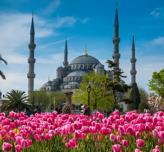 Die Blaue Moschee